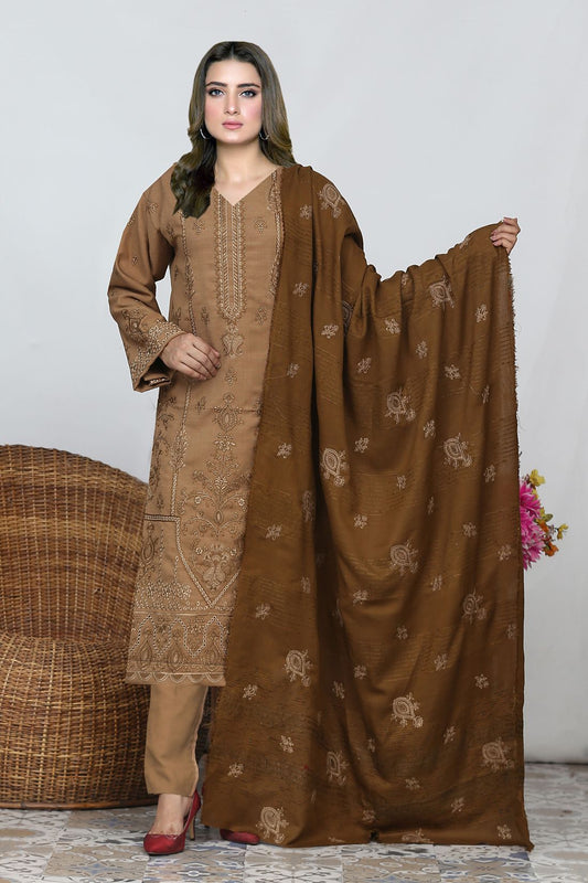 AA Peach Karandi 01- 3pcs- Velvet Shawl A6