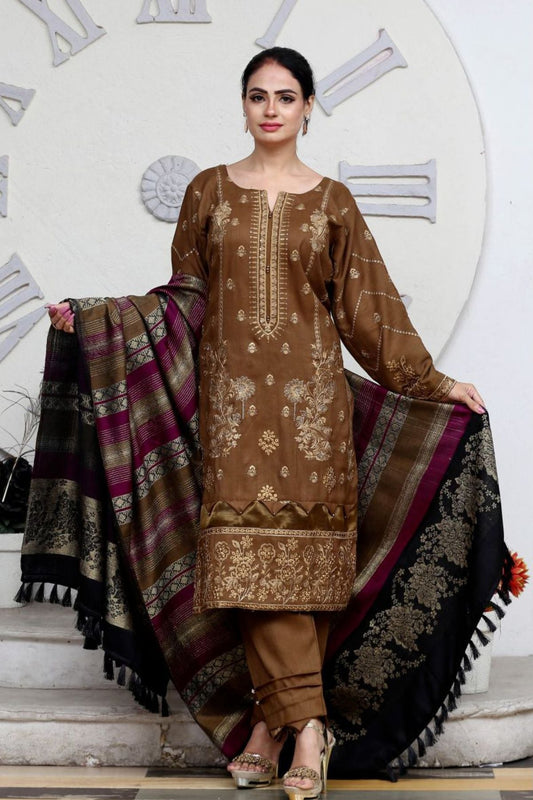 AA Peach Embroidered 01-03pc-Banarasi Shawl -A2