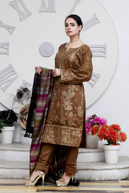 AA Peach Embroidered 01-03pc-Banarasi Shawl -A2